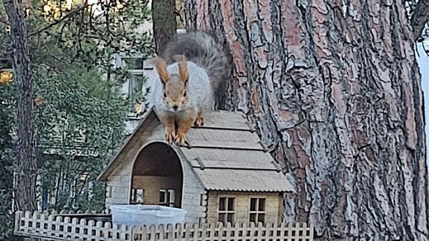    фото smilekaluga.ru