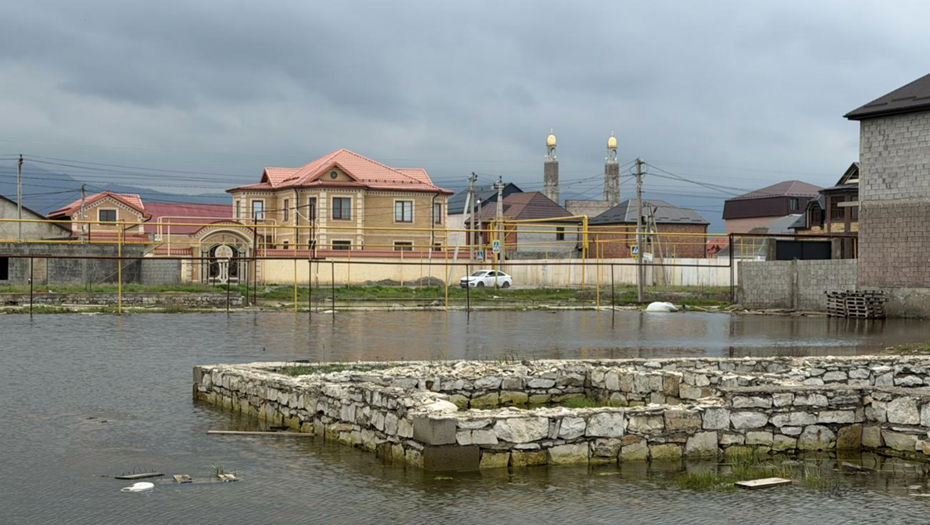    Автор фото: Гянжеви Гаджибалаев/ ТАСС