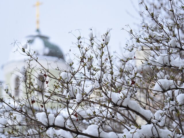    Фото: Москва 24/Никита Симонов​