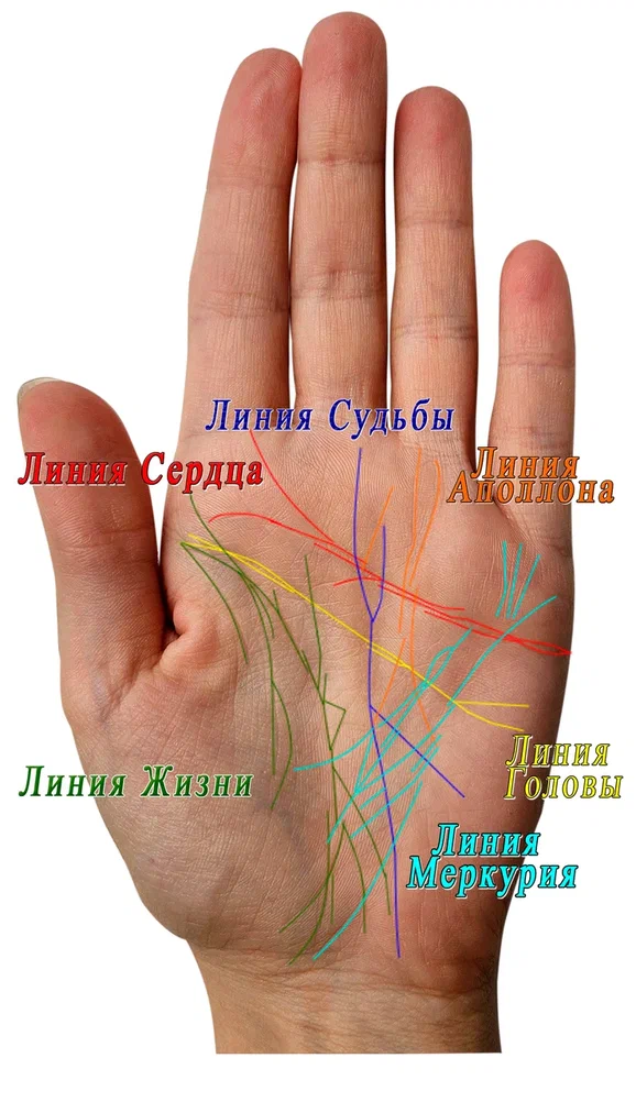 Наука. Фото из личного архива Татьяны Чурон