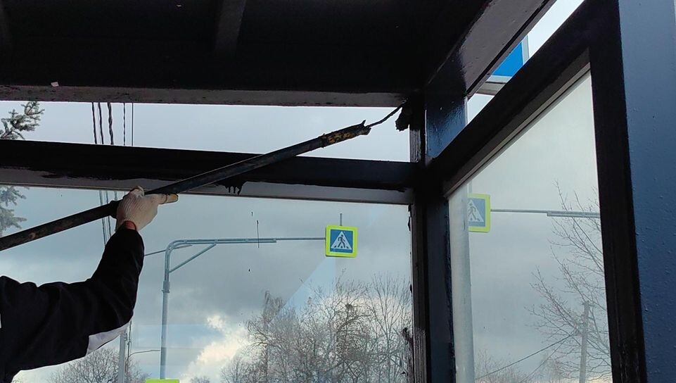     Елена Катасонова