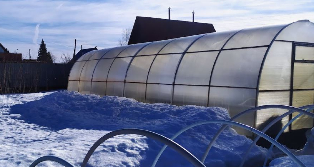 Готовим теплицу к сезону: честная инструкция от лентяйки со стажем