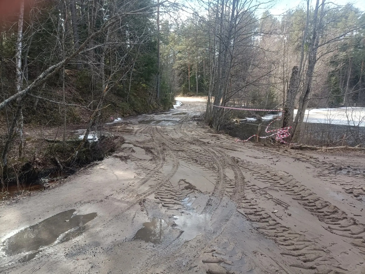    ГКУ РК «Олонецкое центральное лесничество» / VK
