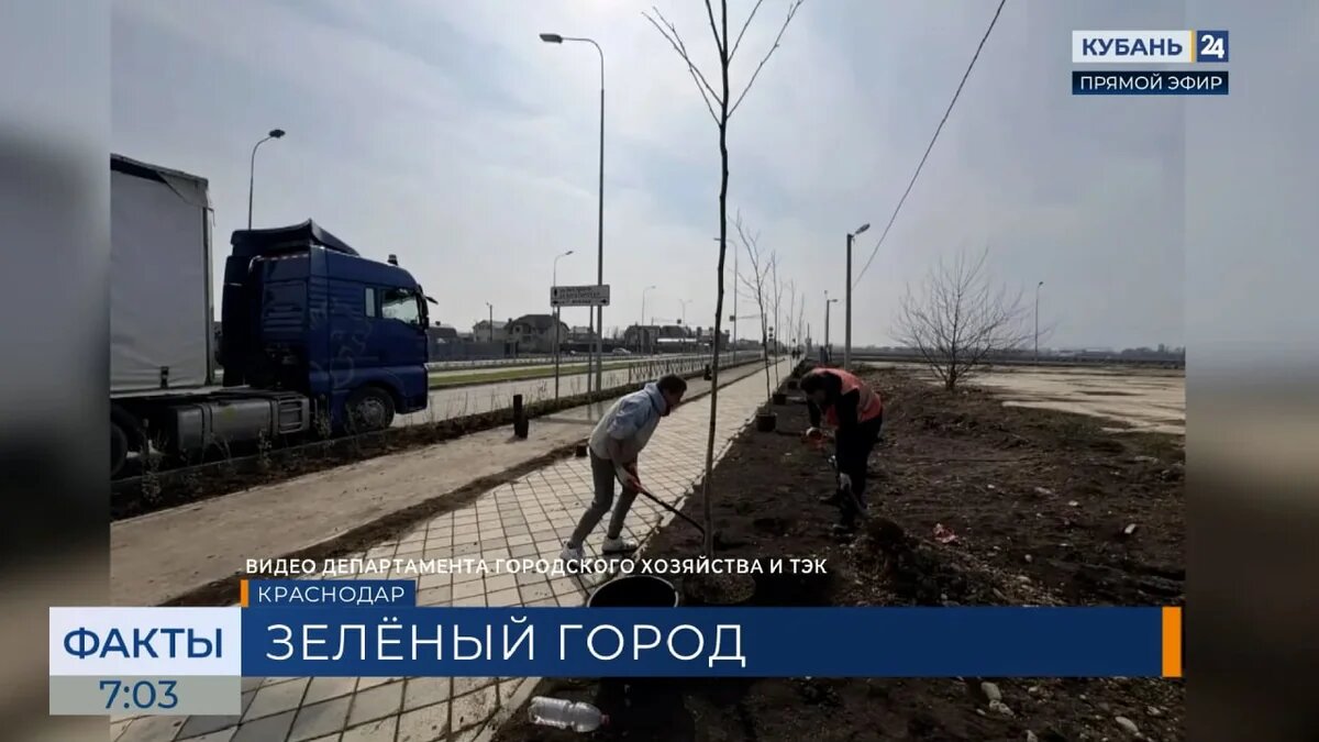    Фото департамента городского хозяйства и тэк