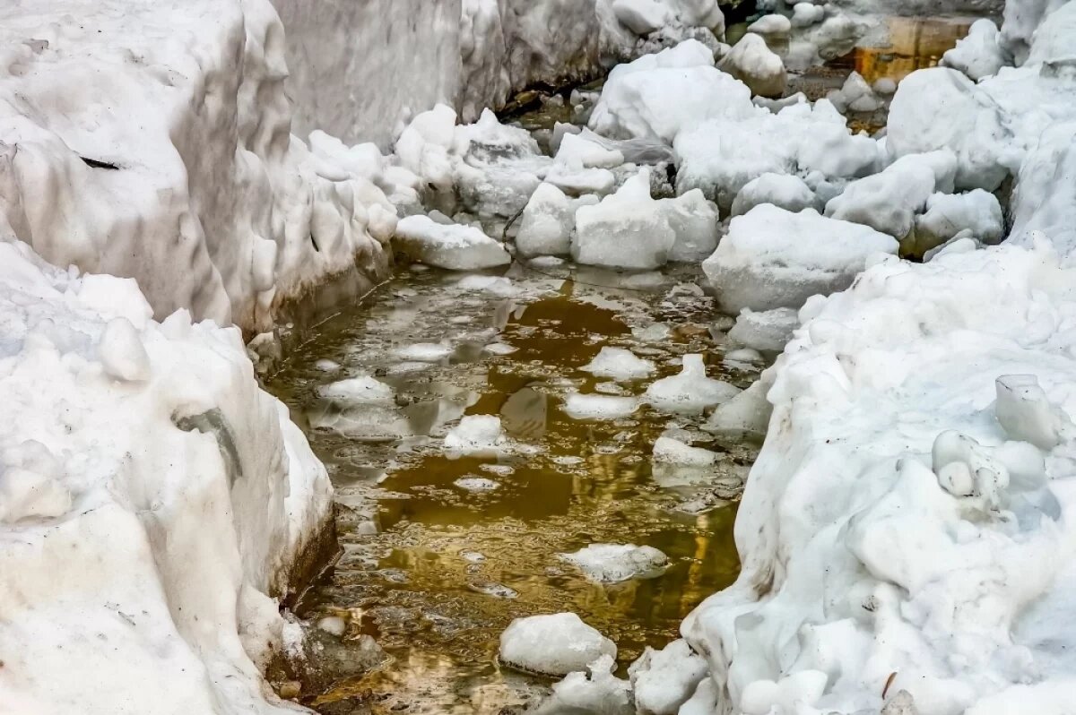    Деревня Полынянка в Томской области отрезана от мира из-за распутицы