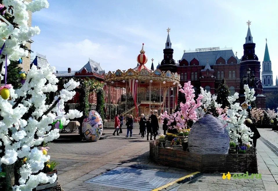 Фотография автора статьи