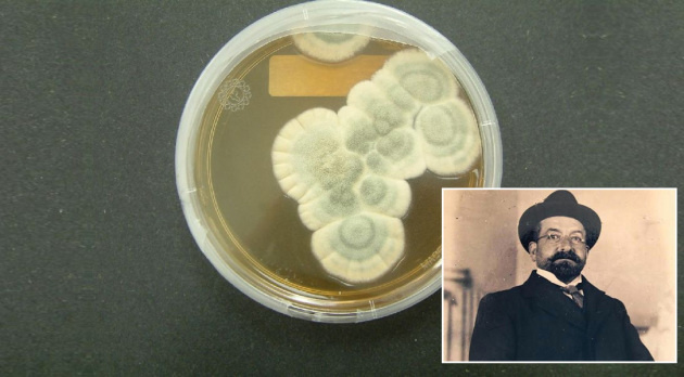 Врач из Италии открыл антибиотики за 33 года до Флеминга.