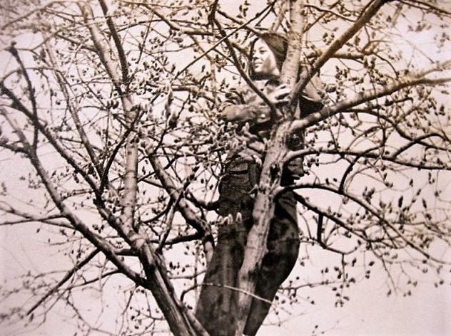 Фотографии Татьяны Немшановой разных лет. Верба цветущая. Южный Урал, Горы Южного Урала. Весна в горах Южного Урала.