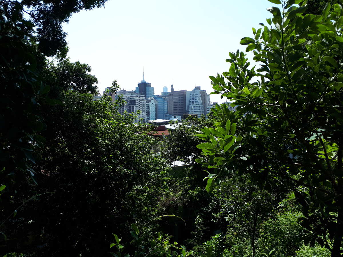 Если на этой фотографии вы видите только заросли, то вы, скорее всего, пропустили статью о другой достопримечательности. Её тут тоже видно))