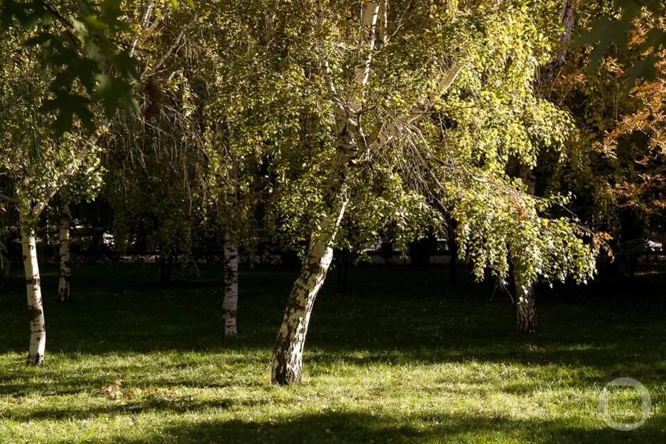    Фото: Дмитрий Рогулин / "Городские вести"