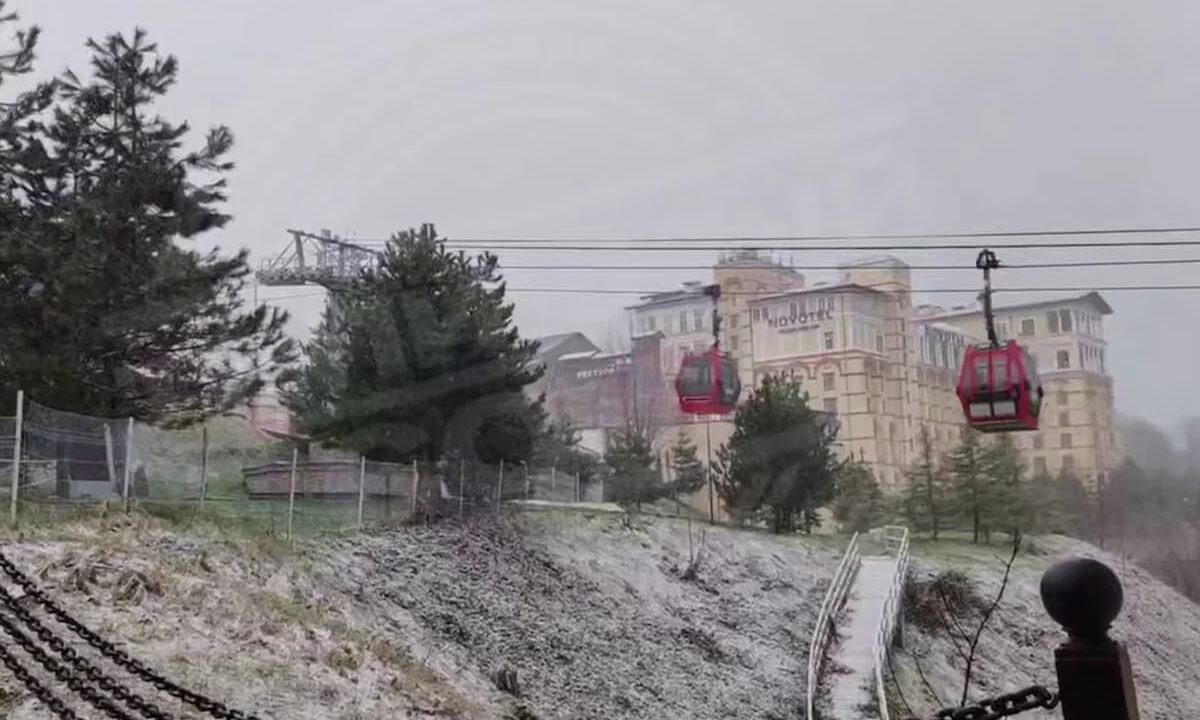    Фото t.me/sochitypical