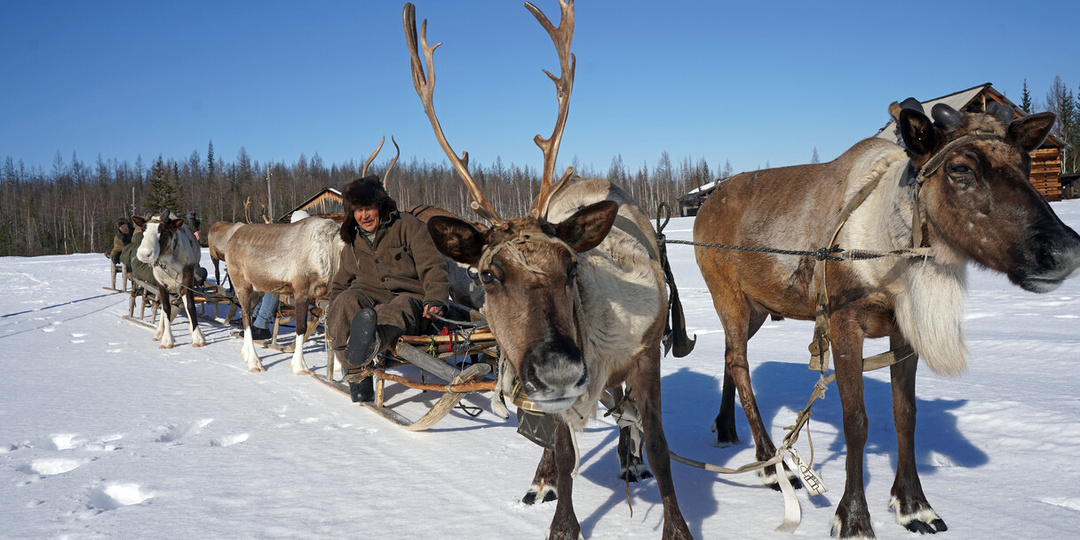 Три дня на оленях по тайге