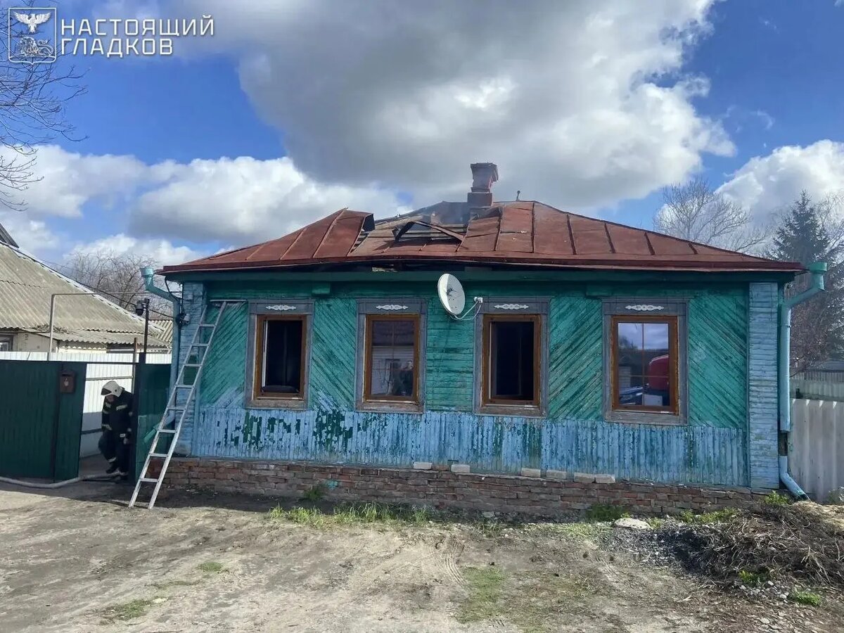    Фото: тг-канал губернатора Белгородской области Вячеслава Гладкова «Настоящий Гладков»