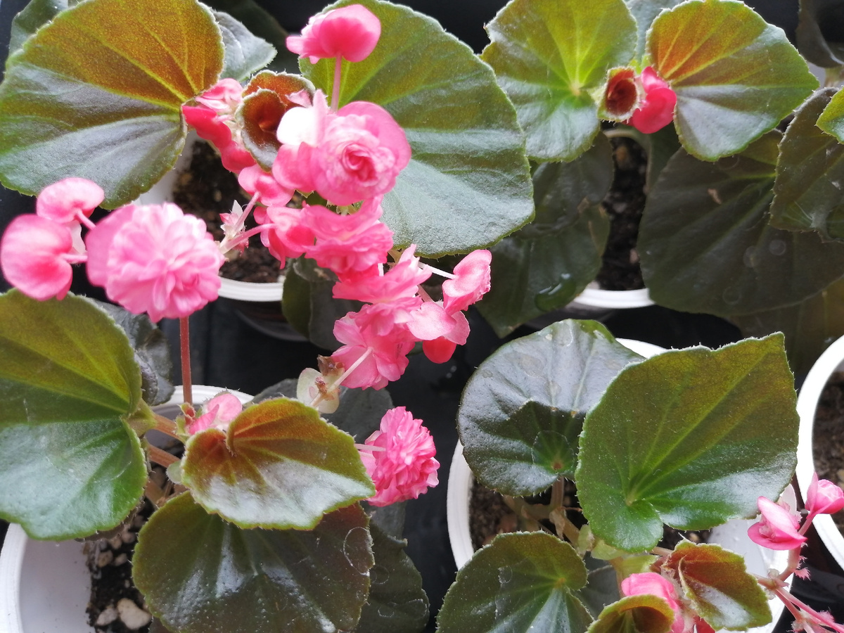 Ну красота же!!!