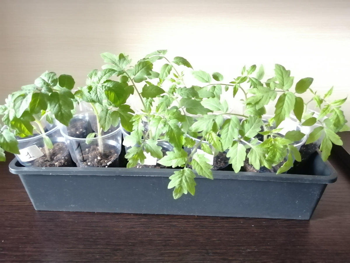 Так выглядят сегодня.