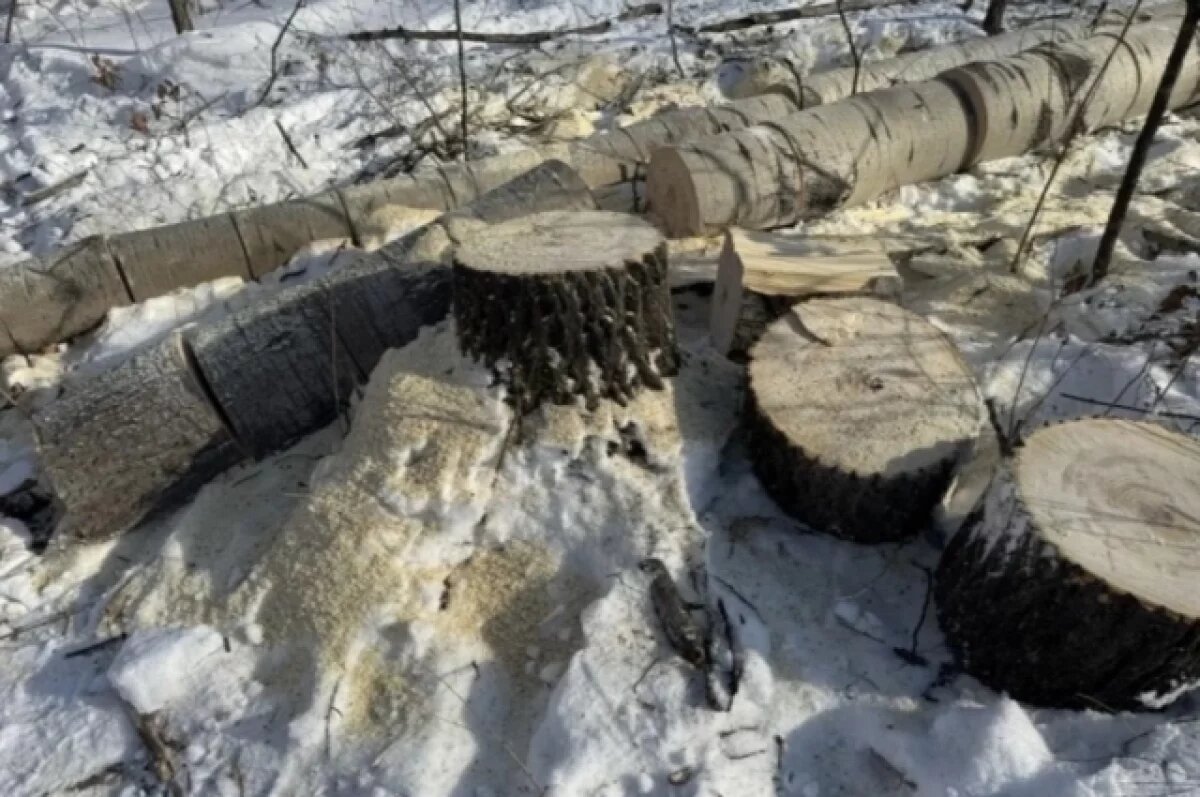    Лесные браконьеры из Хабаровского края лишились двух миллионов и свободы