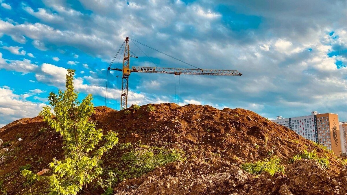   Юлия Литвиненко / mkset.ru