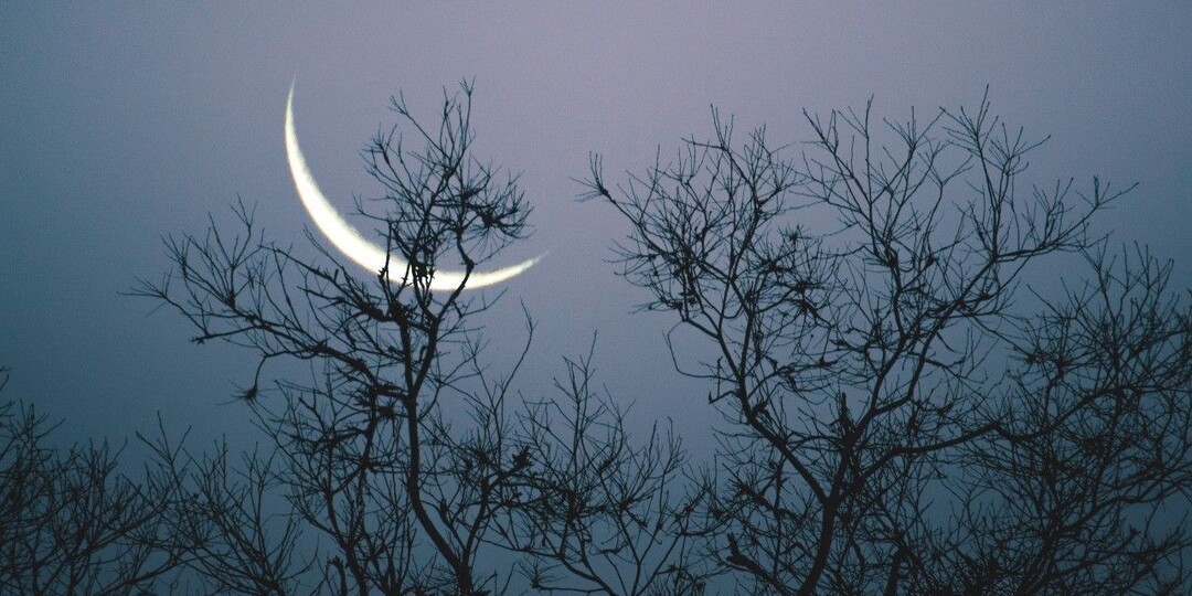 Значение снов в 23-й лунный день с 9 на 10 апреля, с четверга на пятницу