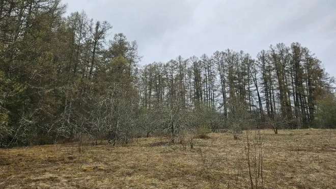 Фото: https://t.me/drozdenko_au_lo/9634