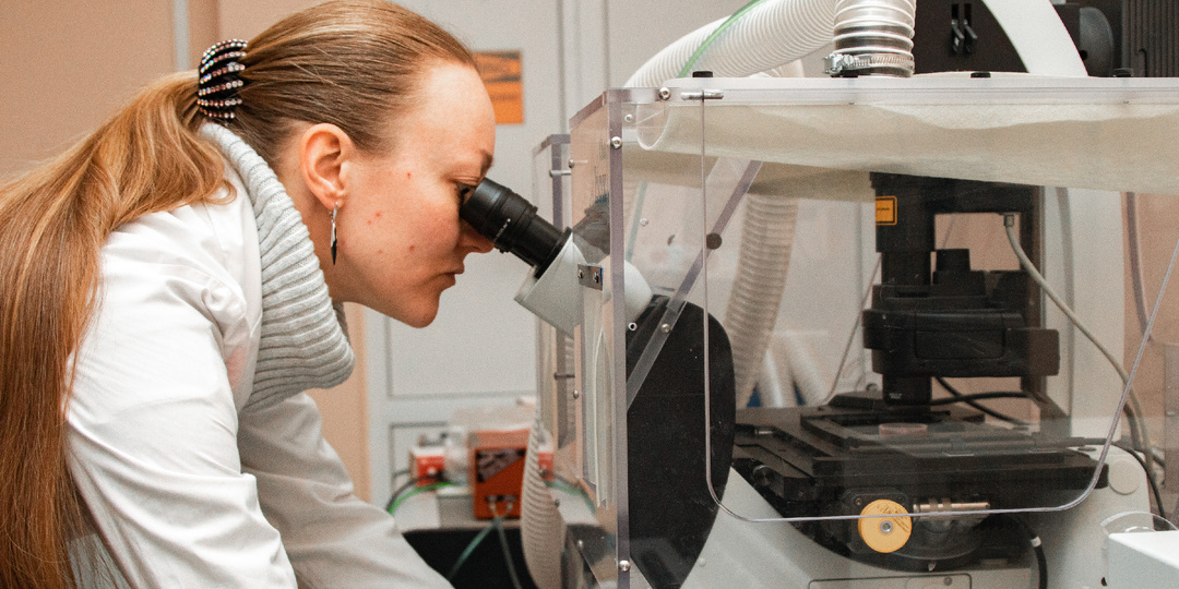 Учёные СГУ разработали светоуправляемую систему активации иммунитета при раке