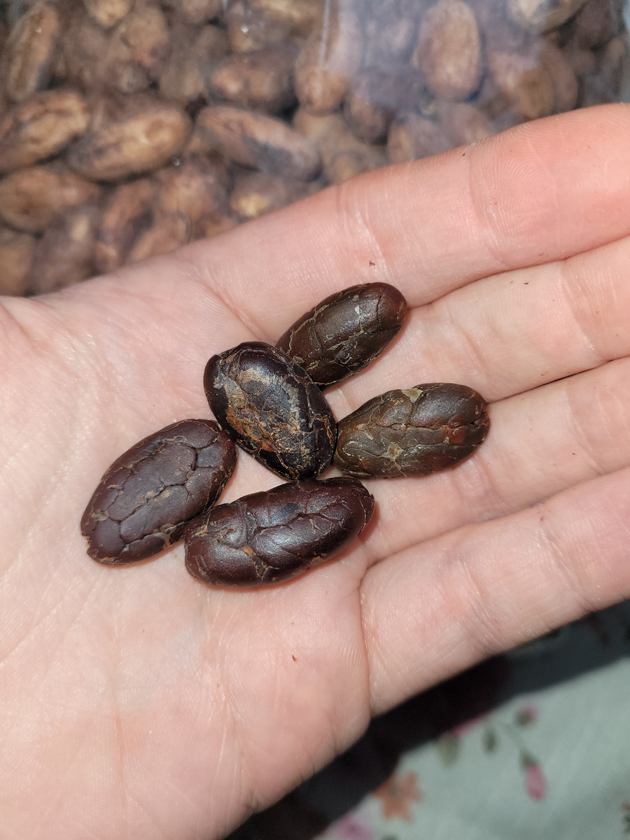 Шоколад найти хороший сейчас сложно. Я съедаю 2-4 шт органических какао бобов в день. В них содержится концентрат антиоксидантов, полифенолов и ресвератрола.