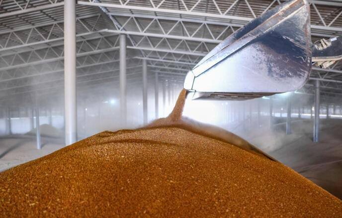 Фото: Алексей Коновалов/ ТАСС