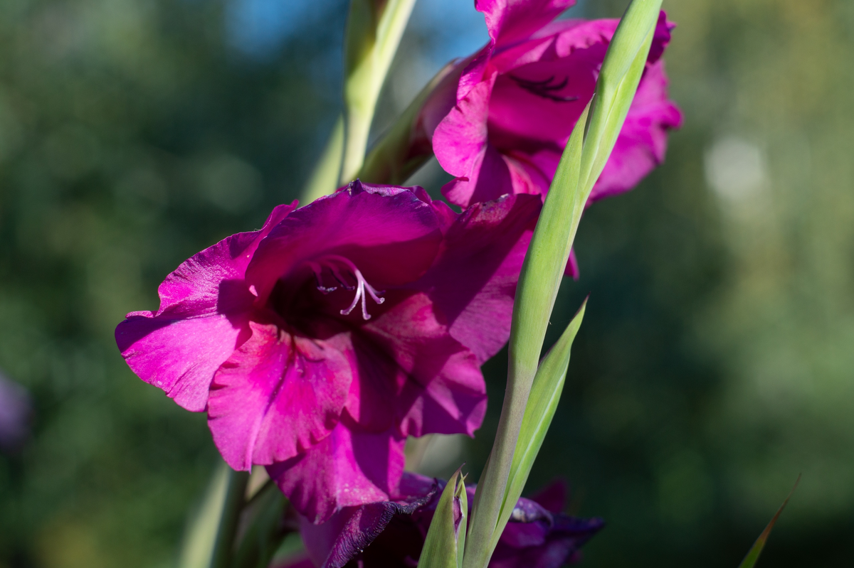 реальность