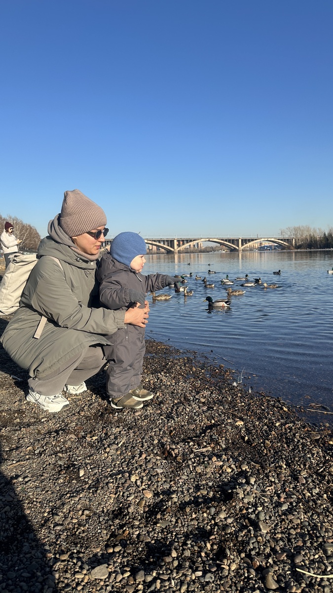 Красноярские уточки