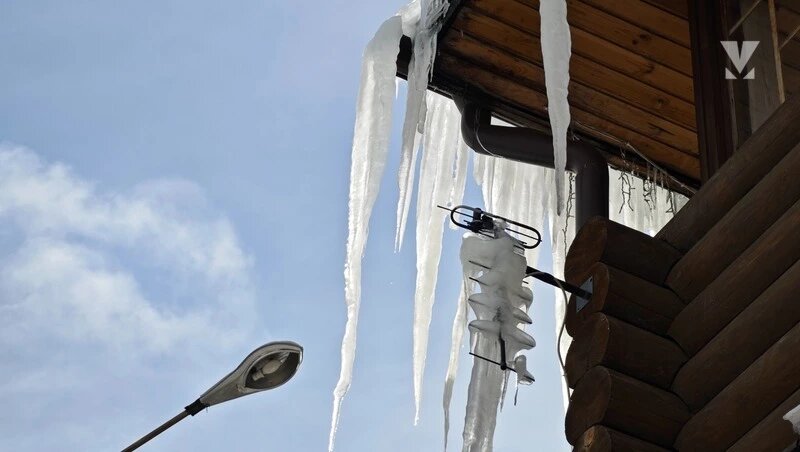      Фото: ИА «Победа26»