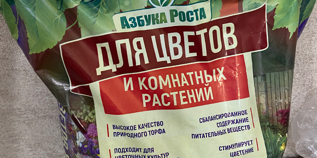 День 137–138: Бесплатный день, назойливый банк и терапия пироженками