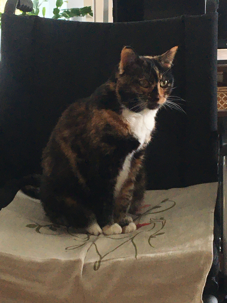 На моём месте. Фото автора