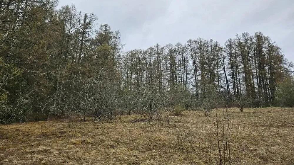    Фото: t.me/drozdenko_au_lo