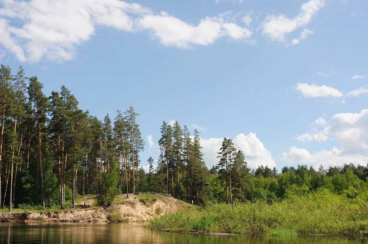    Фото: Пресс-служба Окского заповедника