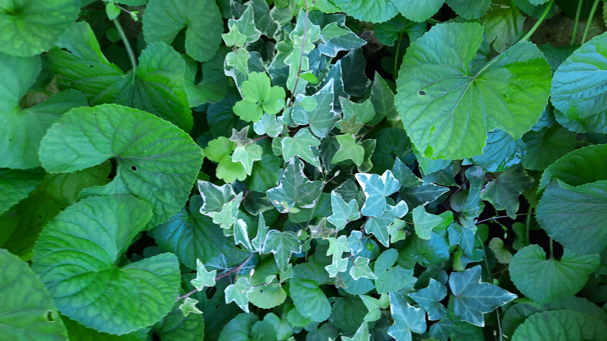 1 октября 2025 г.