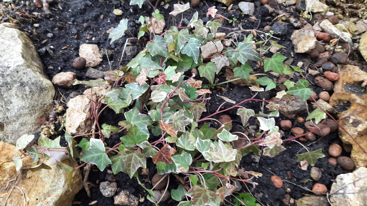 5 апреля 2026 г.