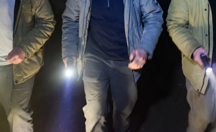    Фото: АиФ/ Grok Imagine