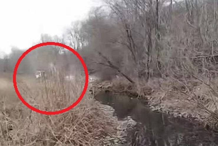    Источник фото: