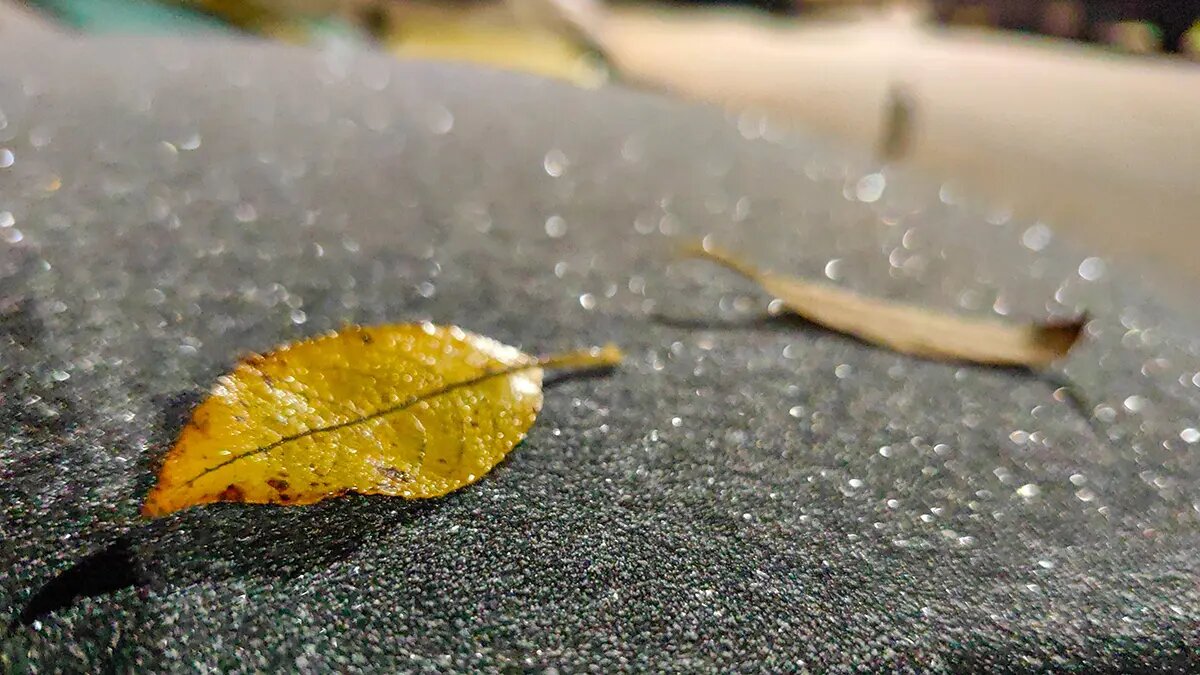    Источник: vm.ru/ Дмитрий Смирнов