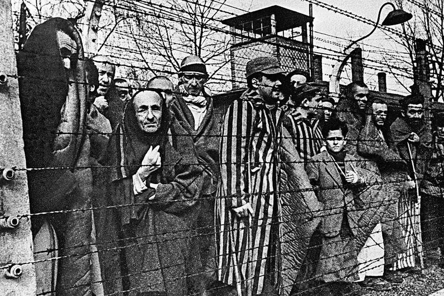 изображение взято из открытых источников в сети Интернет