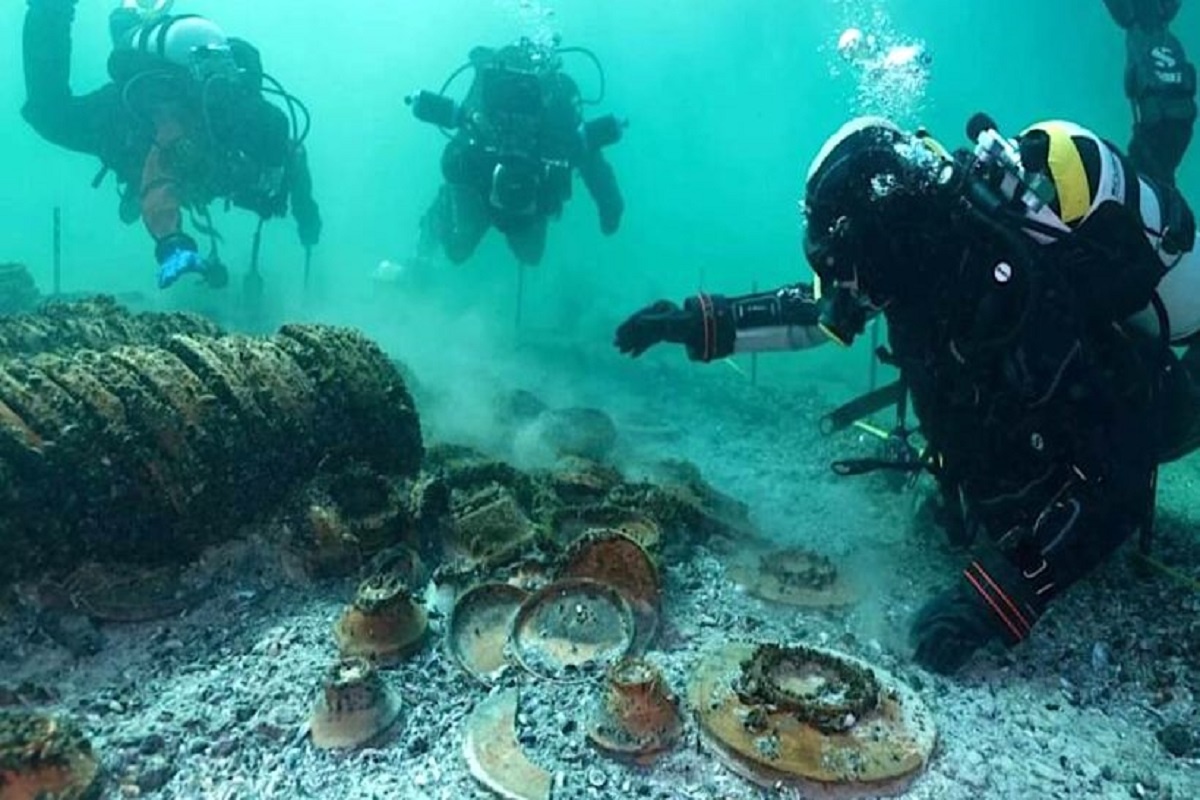    Фото: octopusfoundation.org