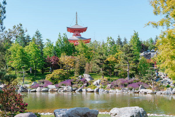 Пресс-служба «Гранд Отель Екатеринодар»   📷