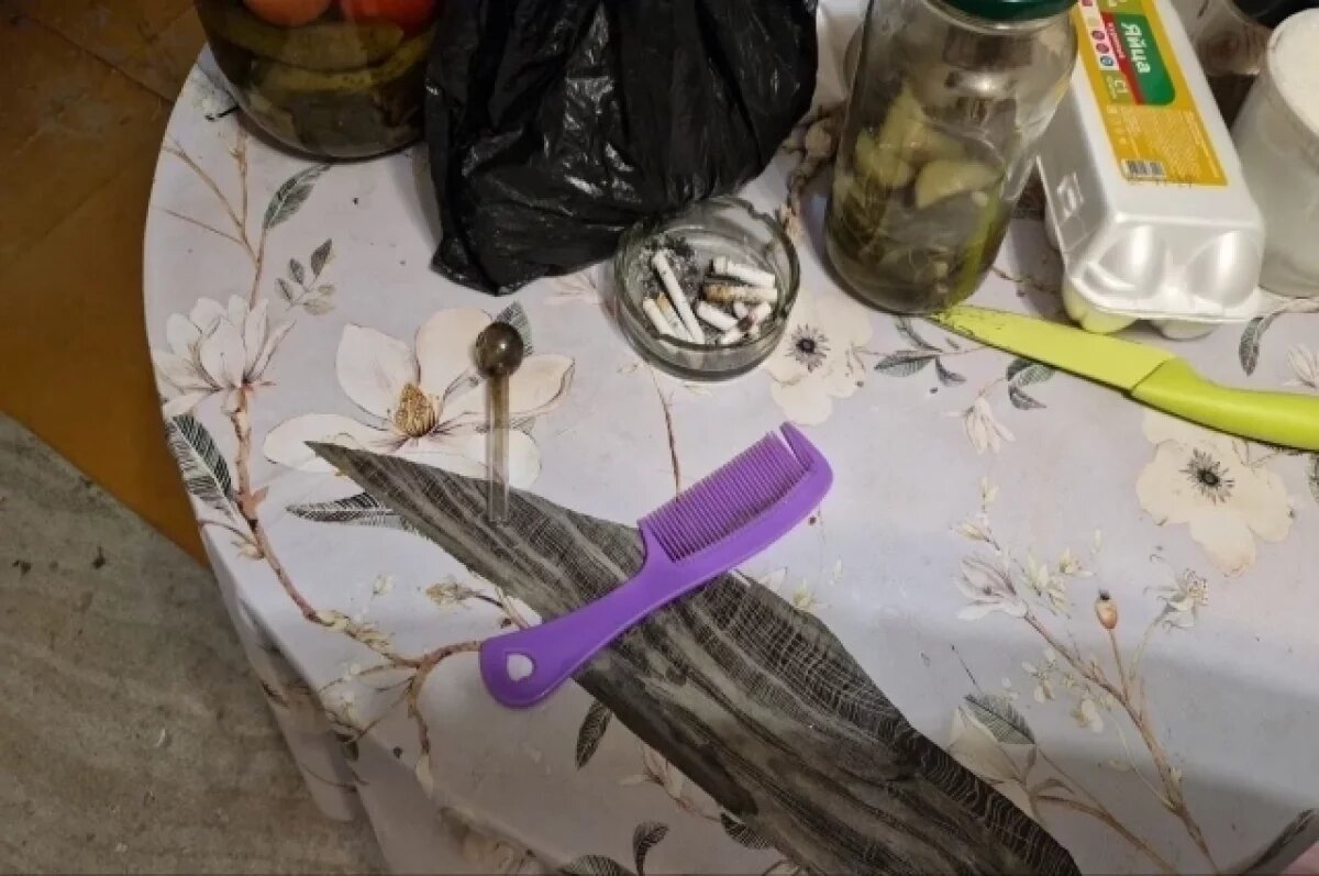    В Челябинске наркоман-рецидивист пойдёт под суд за организацию притона