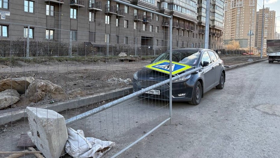    Петербуржцы жалуются на сильный ветер, который сносит указатели и деревья Автор фото: "ДП"