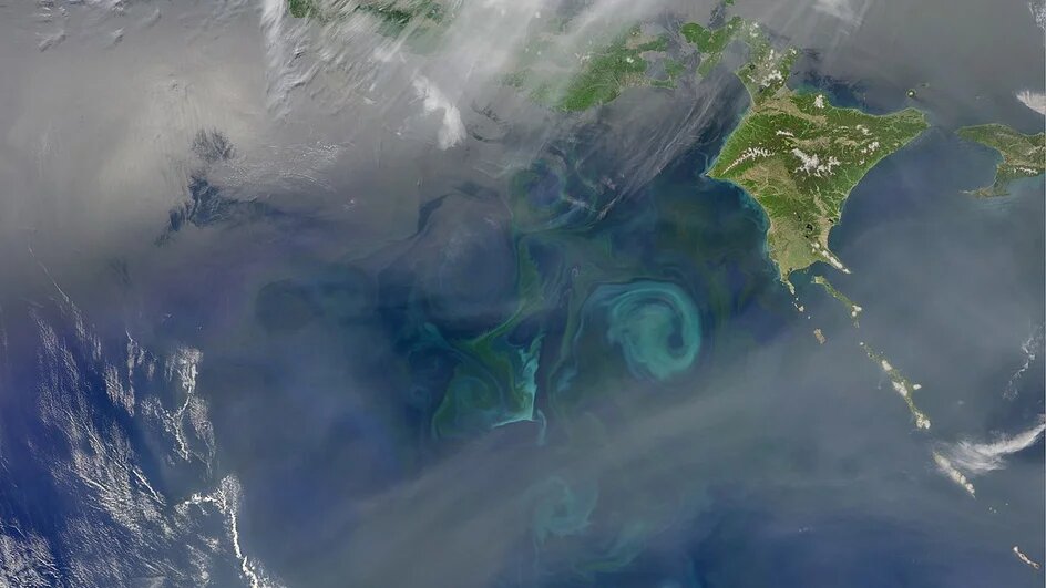 Моделирование Антарктического циркумполярного теченияИсточник: Wikipedia