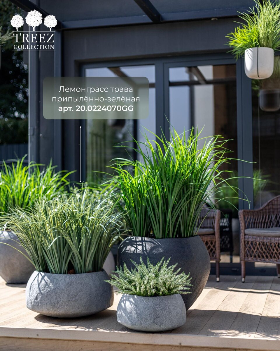 Кашпо и растения Treez Collection