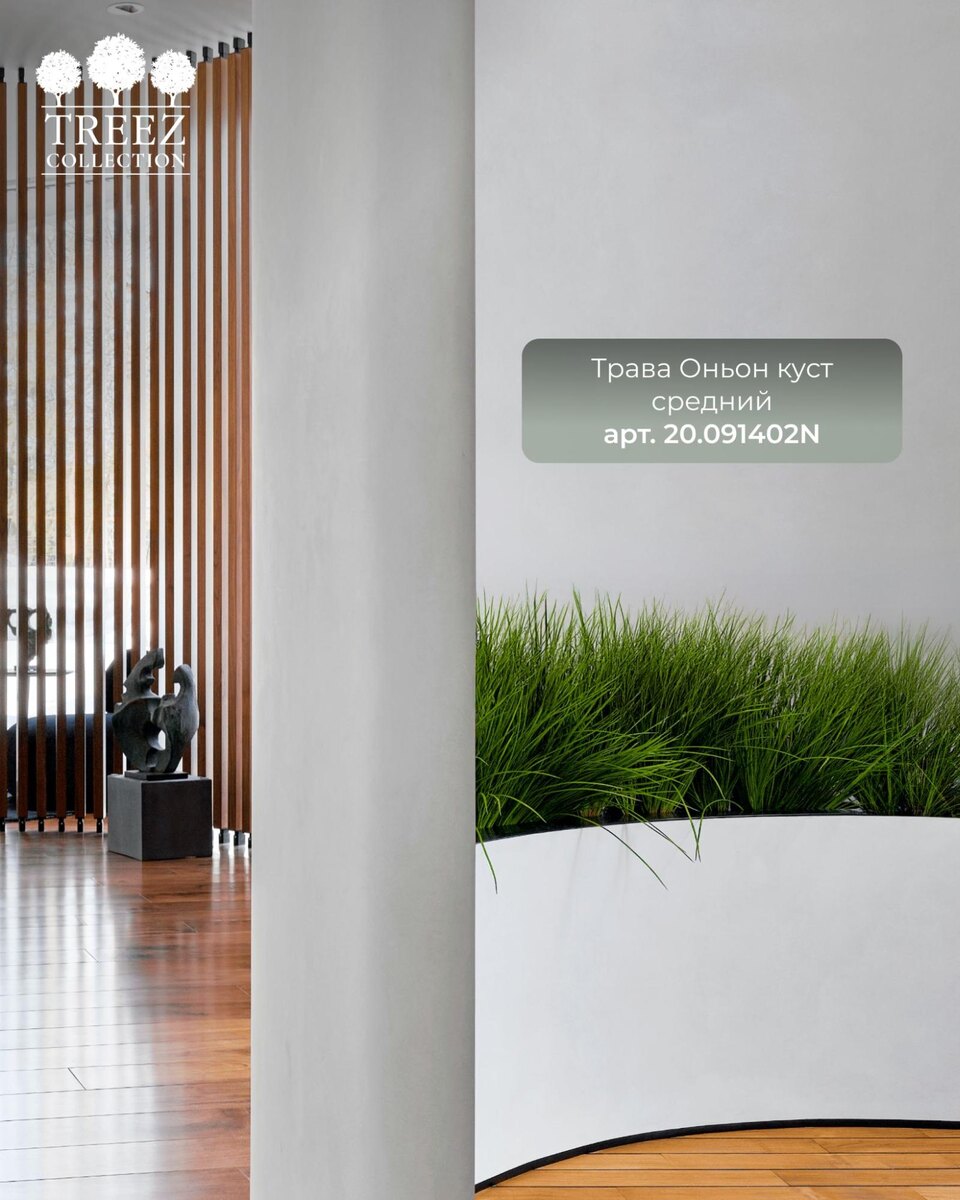 Кашпо и растения Treez Collection