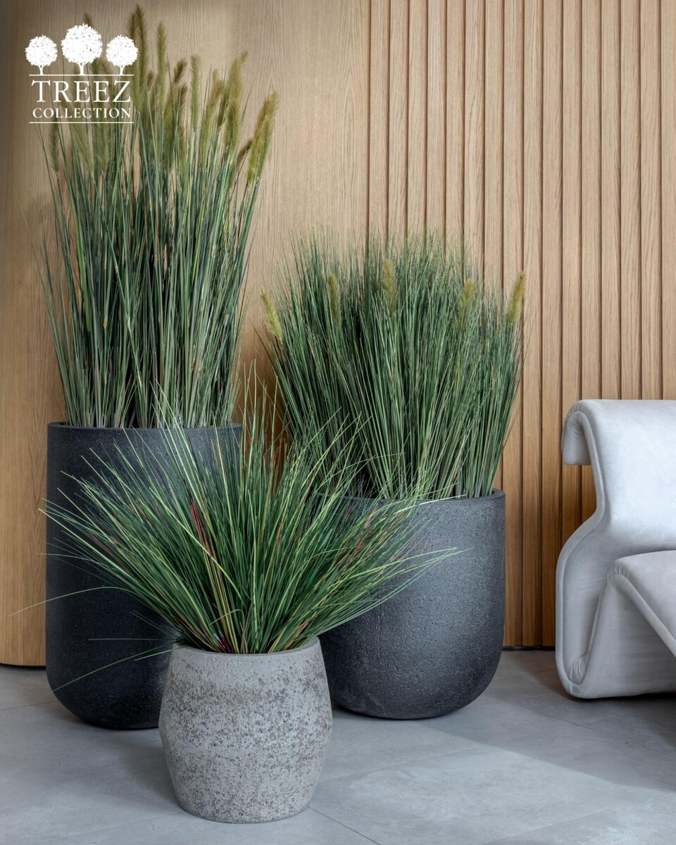 Кашпо и растения Treez Collection