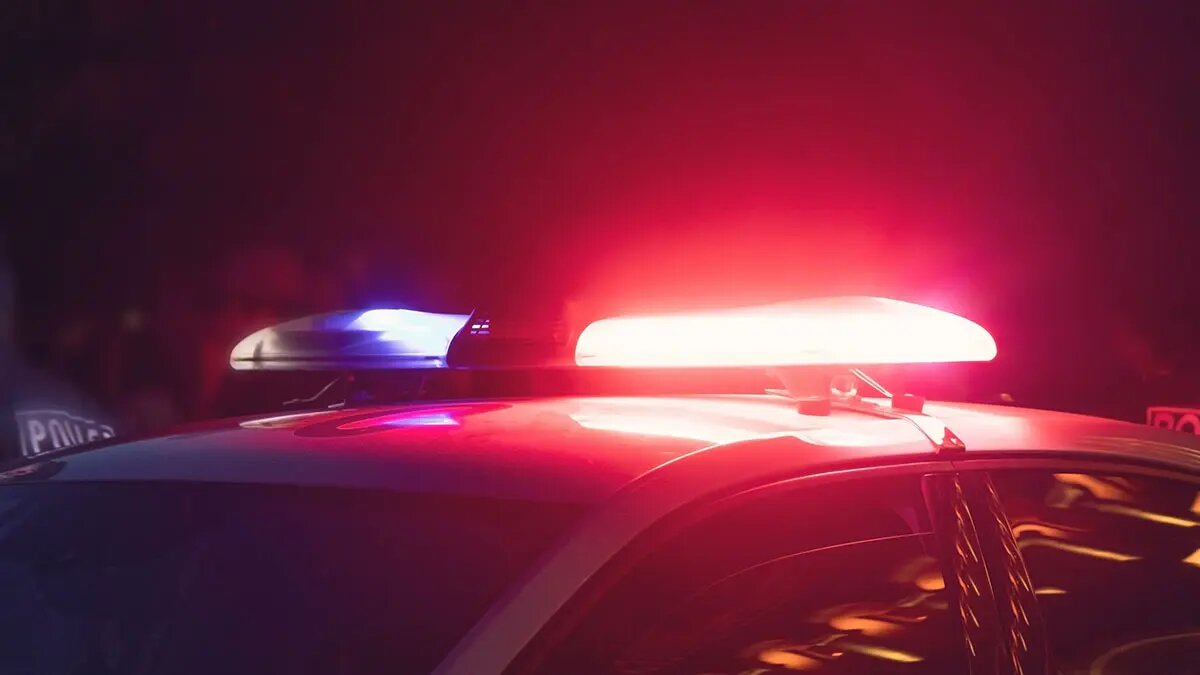    Источник: vm.ru/ Иван Гаврилов