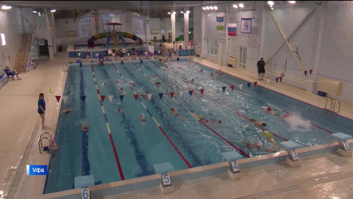    Что выбирают уфимцы? Самые популярные секции спорткомплекса «Динамо»