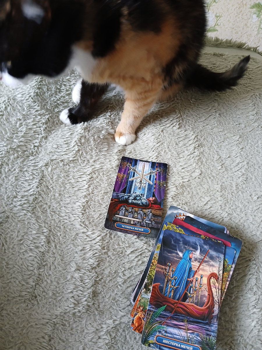 Фото автора. 